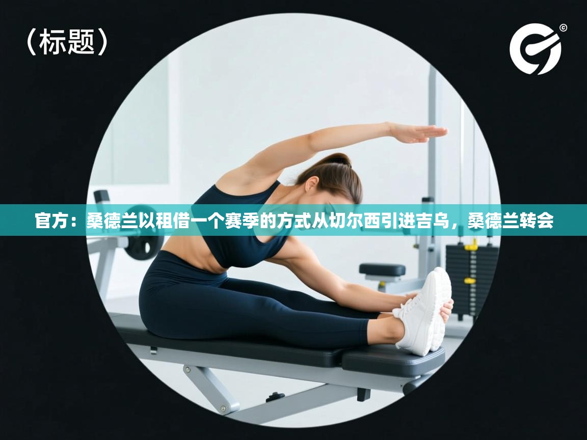 官方:桑德兰以租借一个赛季的方式从切尔西引进吉乌,桑德兰转会 第2张