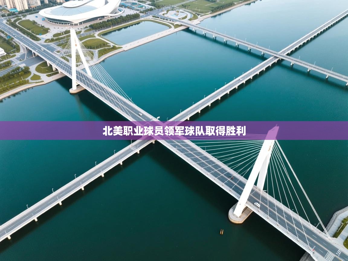 北美职业球员领军球队取得胜利  第1张