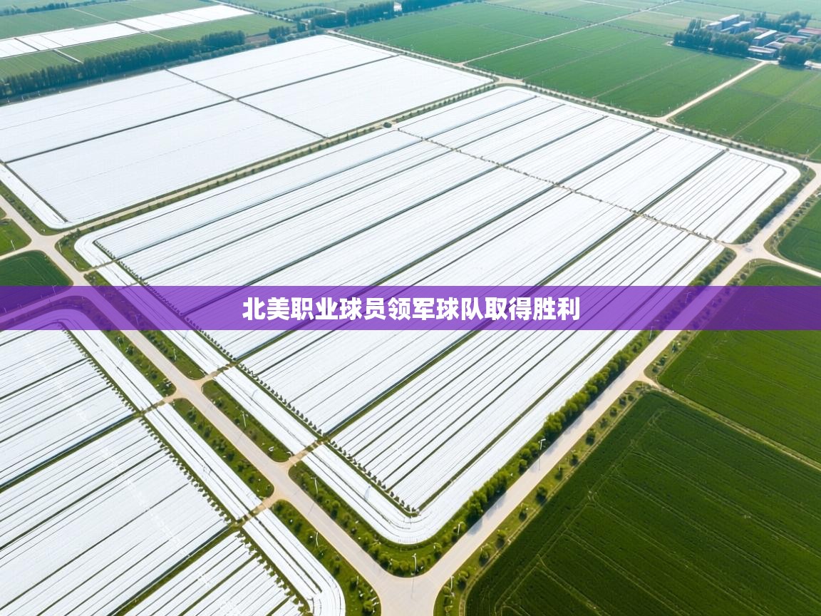 北美职业球员领军球队取得胜利  第2张