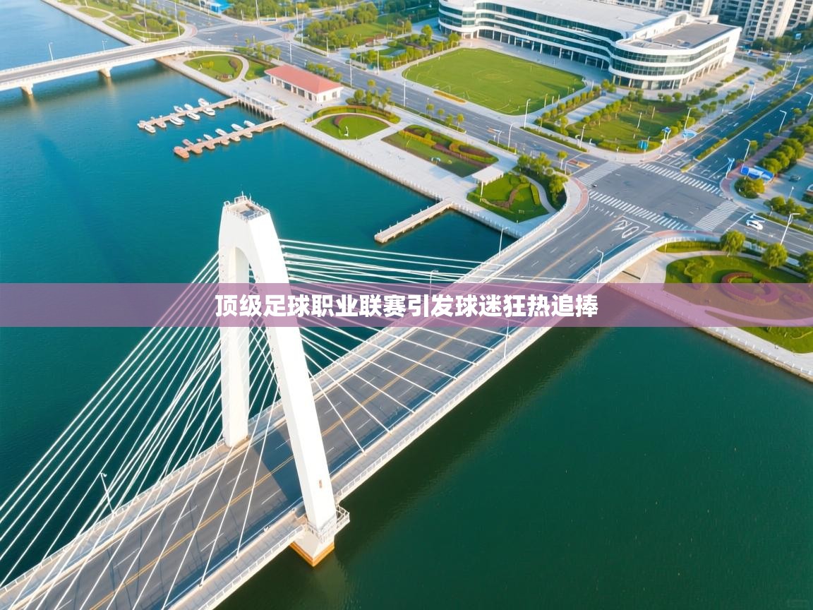 顶级足球职业联赛引发球迷狂热追捧  第1张