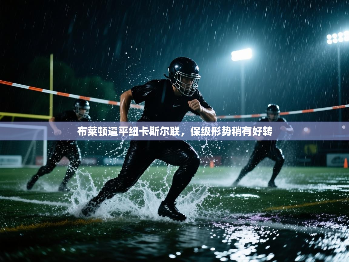 布莱顿逼平纽卡斯尔联，保级形势稍有好转  第1张