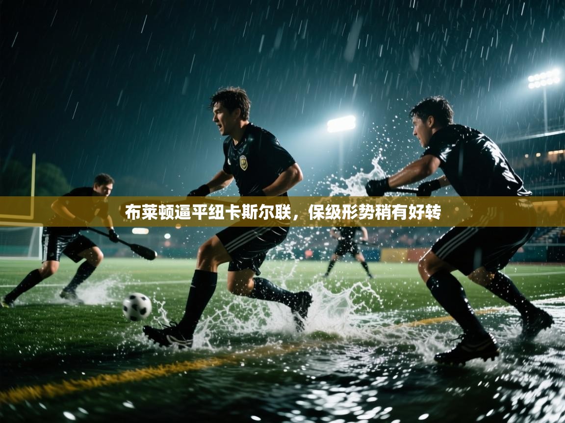 布莱顿逼平纽卡斯尔联，保级形势稍有好转  第2张