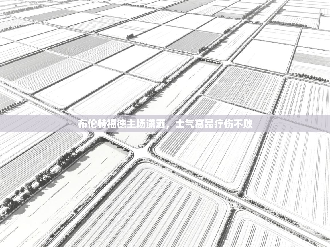 布伦特福德主场潇洒，士气高昂疗伤不败  第2张